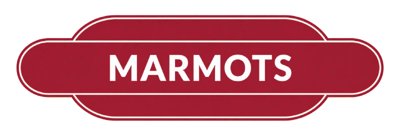 Marmots